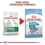 Royal Canin Hundefutter Mini Starter 8.5 kg, 1er Pack (1 x 8.5 kg)