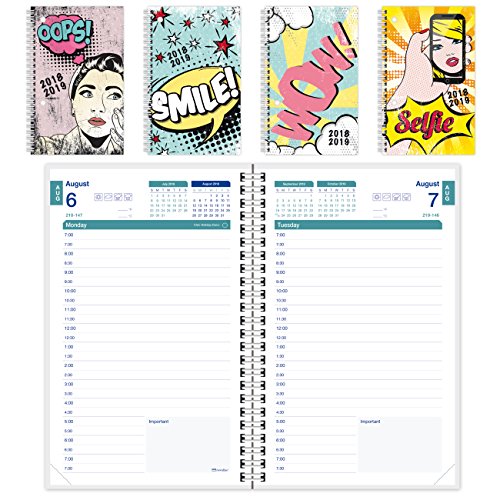 Télécharger Brownline 2018–2019 Motif comics Agenda scolaire journalier, 8 x 5, jour par page, Août 2018 Livre eBook France