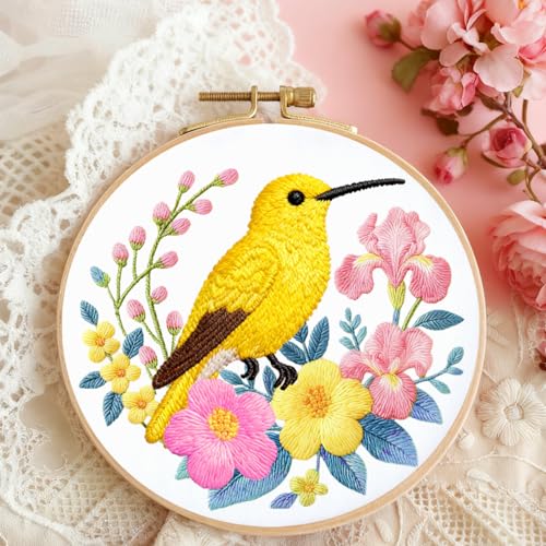 Image of BEUNITONE 6 Set Hummingbird Starter Embroidery Kit with Pre-Stamped Pattern