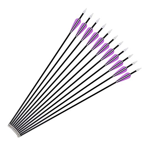 Elong Fiberglass Arrows Archery 26 Inch Target Shooting Practice Safety Recurve Bows Purple Suitable for Youth Kid Woman Beginner(6pcs)