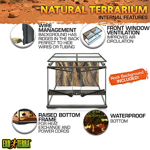 Exo Terra Short All Glass Terrarium, 18 by 18 by 12Inch iamyourpet