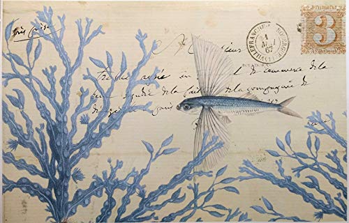 Monahan Papers 50 Nautical Blue Fish Themed Disposable Paper Placemats for Table | Coastal Vintage Style with Ocean Reef Print for Tropical Beach Parties, Seaside Wedding, Dining, Kitchen Decor