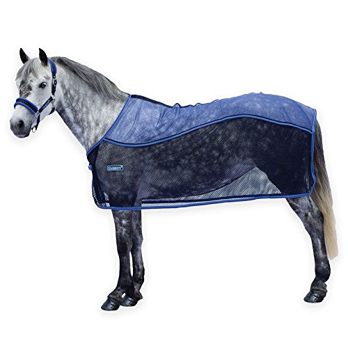 6 Best AntiSweat Sheet for Horses (2023 Expert Review)