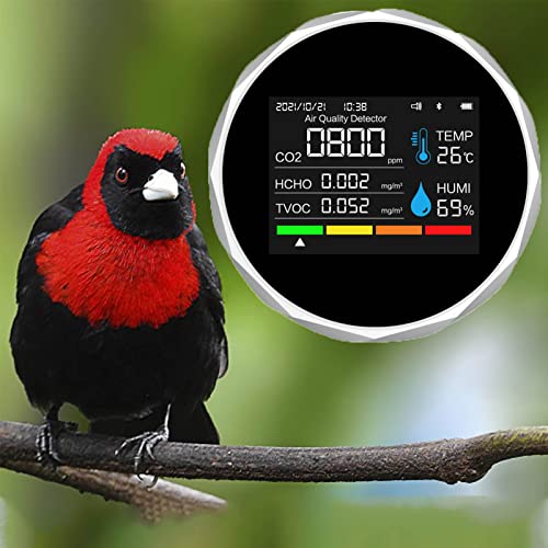 Detector de dióxido de carbono y formaldehído TVOC para interiores con fecha y hora 5