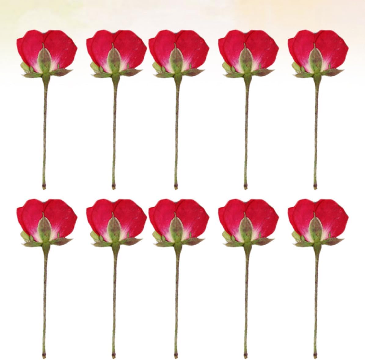 Artibetter 12pcs DIY Dried Pressed Rose Buds for Scrapbooking and Packaging Materials, Beautiful and Lifelike Flower Specimens for Holiday Functions and Parties