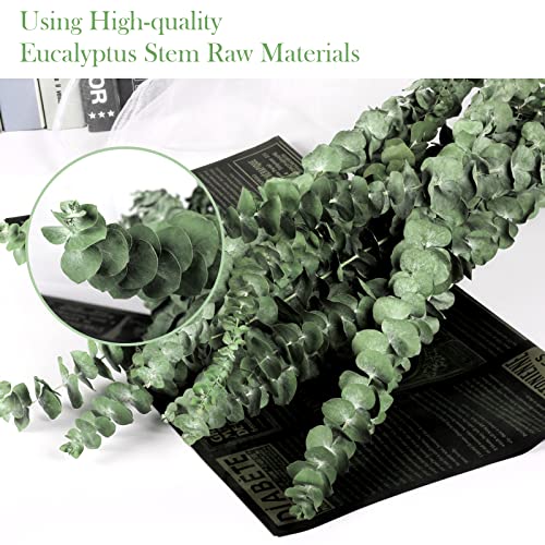 16 Pcs Dried Eucalyptus Plant Stems For Shower, 17" Real Eucalyptus Branches, 100% Natural Eucalyptus Leaves, Dried Greenery For Arrangement Wedding, Home, Party, Office Decor, Air Purification #TOP1