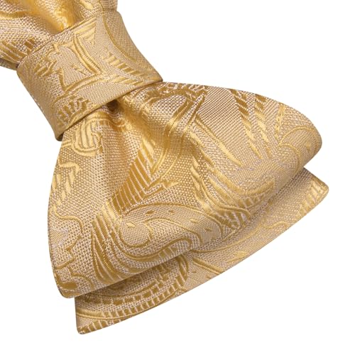 Image of Dubulle Self Tie Bow Ties and Lapel Pin for Men Paisley Solid Mens Bowtie and Handkerchief Cufflinks Set Wedding