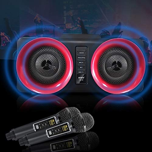 Microphone LLD SD-307 portable double sans fil Bluetooth noir