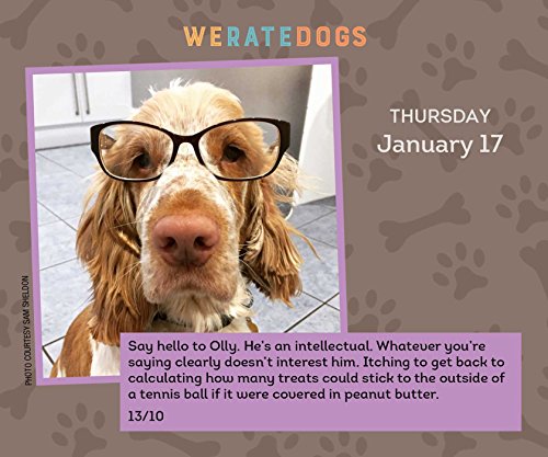 Weratedogs 2019 Day-To-Day Calendar #TOP2