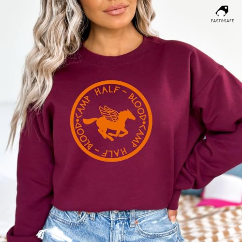 Custom Percy Jackson Sweatshirt Hoodie, Camp Half Blood, Heroes Of Olympus Sweatshirt, Camp Jupiter Sweatshirt, Book Lover Gift, Bookish Sweatshirt2