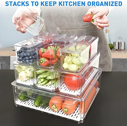 Cloud Search fridge storage boxes plastic boxes for storage containers for kitchen | fridge storage containers for storage | fridge organizers storage box set | plastic storage box (Pack of 10)