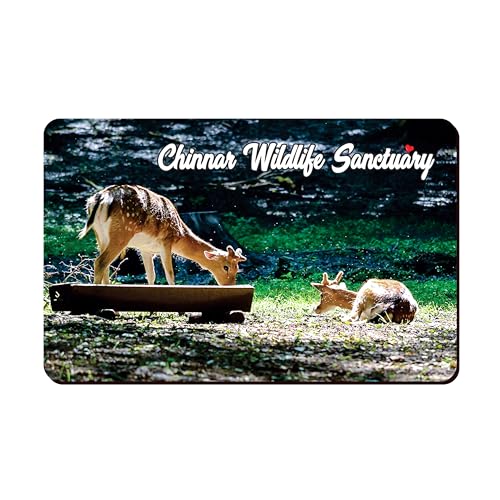 Image of Elegant Fridge Magnet with Themes |Rectangular Size Refrigerator Magnet with Magnetic Rubber Back | Pack of 1, 8.6cm X 5.4cm (Chinnar Wildlife Sanctuary)