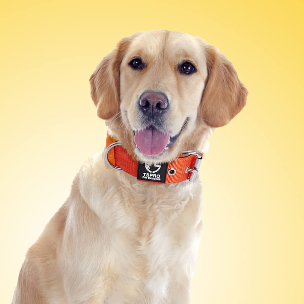 Amazon | TSPRO タクティカルドッグカラー 1.5インチ幅 太め設計