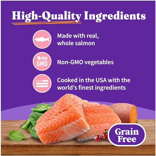 Halo Pate Wet Cat Food, Real Salmon Recipe, 5.5 oz Can, 12-Pack - image 3