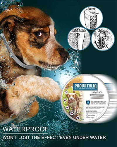 prowithlin Collar Antiparasitario para Perros, 62cm Natural Collar Anti-pulgas Ajustable 8 Meses de Prevención Talla Unica para Todos 6 AJUSTABLE: Nuestro Collar Antiparasitario para Perros está diseñado para 63 cm de longitud, por lo tanto, se adapta a perros de todos los tamaños y edades. Si el collar antipulgas es demasiado largo, córtelo demasiado y manténgalo en la casa del perro para obtener protección adicional.
PREVENCIÓN DE BOLETOS DE 8 MESES: El Collar Antiparasitario Prowithlin es un medicamento eficaz para repeler las garrapatas por hasta 8 meses. Los ingredientes activos funcionarán mejor durante este período. Posteriormente, se debe reemplazar por otra protección máxima.
SEGURO, ECOLÓGICO: Gracias a la composición natural, los collares Prowithlin son absolutamente inofensivos para la salud de su perro. No contiene productos químicos tóxicos que causan alergias a su mascota.