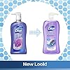 Dial-Body-Wash-Lavender-Jasmine-32-Fluid-Ounces-Pack-May-Vary Dial Body Wash, Calm & Soothe Lavender & Jasmine Scent, 32 fl oz