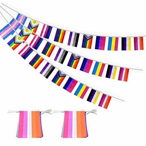 XCFH 2 Set All Pride Rainbow Gay Flags Banner String Bunting LGBTQ Decoration 64 Feet 60 Pcs