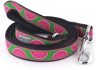 The Worthy Dog Watermelon Slice Leash for Dog Made of Nylon - 5ft Comfortable Strong Breathable Leash with D-Ring for Walking Dogs, Green Size- Small