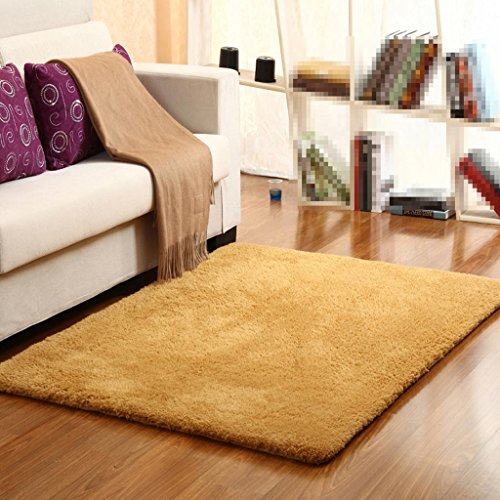 DYI Modern simple velvet living room coffee table carpet, bedroom carpet, mats, mats, bedside blankets, 60 * 160cm