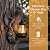 Tiinasol 10" Dragon Solar Lantern Outdoor Garden Statue - Resin Tree Hugger Decor Figurine, Fantasy Yard Art with Solar Light for Patio Lawn Porch, Unique Medieval Whimsical Gift for Dragon Lovers