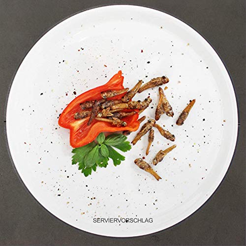 Heuschrecken - essbare Insekten von 'SNACK insects' - 15g feine Speise-Insekten zum Kochen und Essen