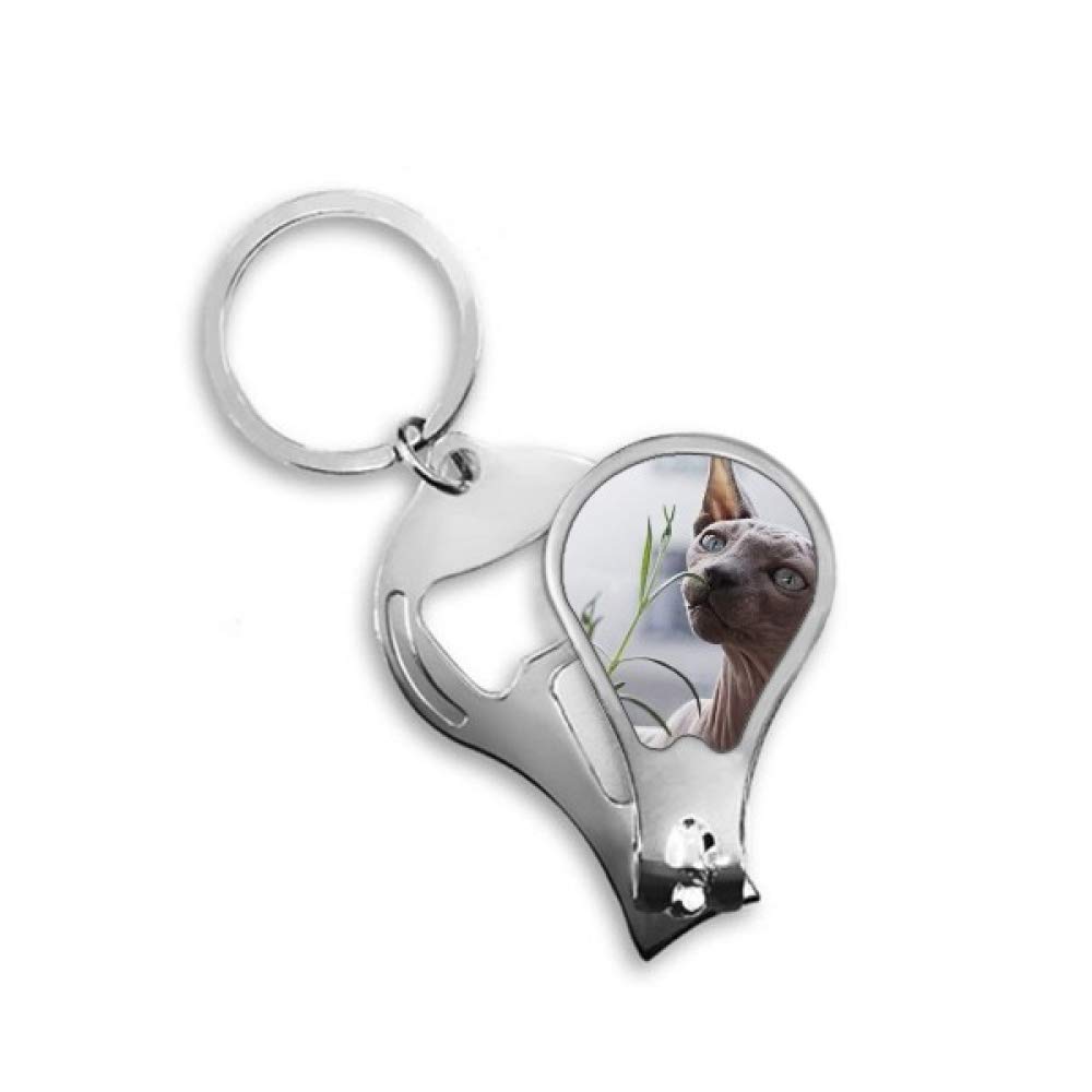 Coupe-ongles mince chat gris DIYthinker pour ongles nets sans effort