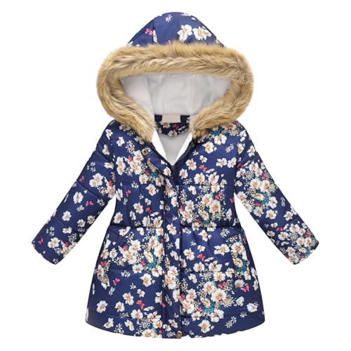 [HongzyFirm] _ExXg LbY j̎q ̎q _EWPbg y _ER[g L    t[ht K[Y  h h q R[g lC AE^[ WjA JWA ʉ ʊw o H ~