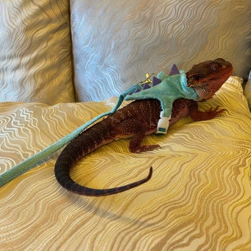 Image of Bearded Dragon Harness and Leash Set - Soft Fleece Dinosaur Vest with Safe Bell Adjustable Lizard Traction Rope Escape Proof Outdoor Walking Training Leash for Ferret Rat Kitten Puppy (Blue)