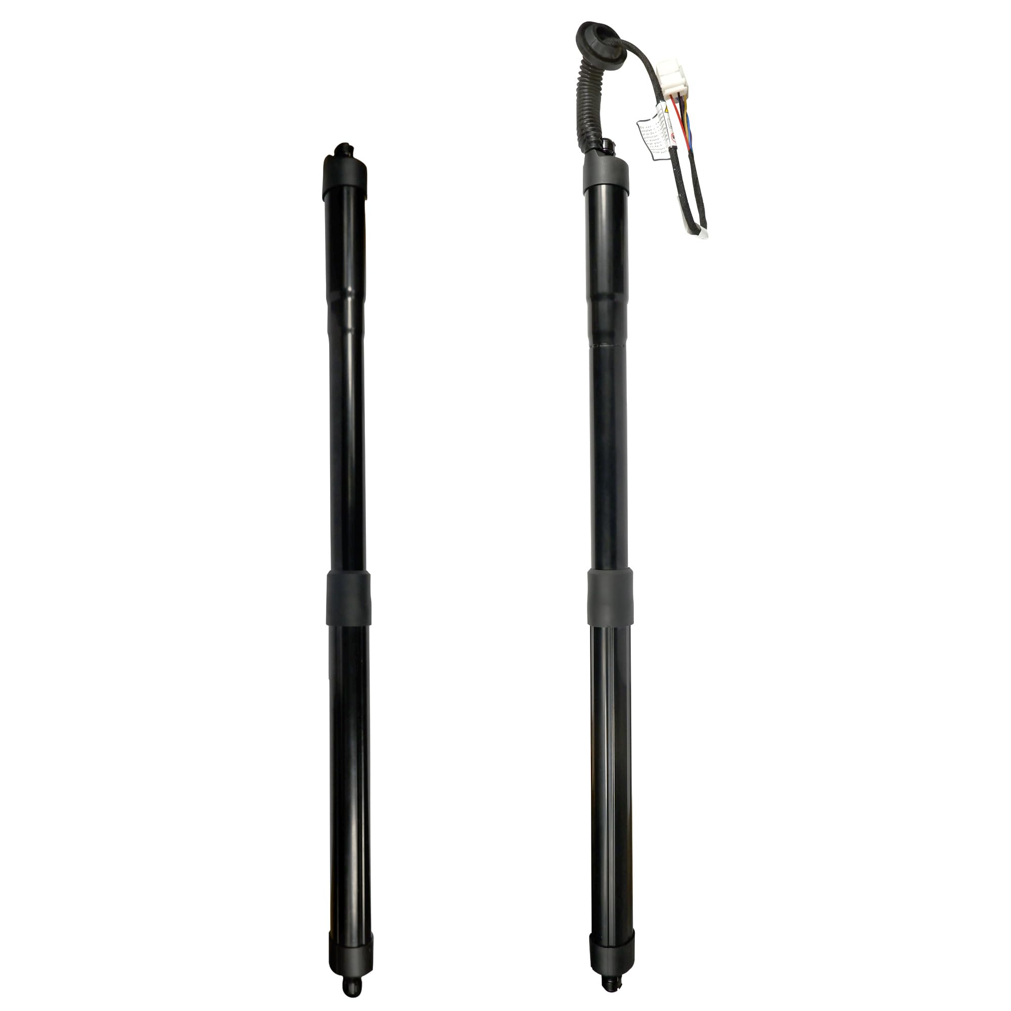 Amazonian Awesomeness