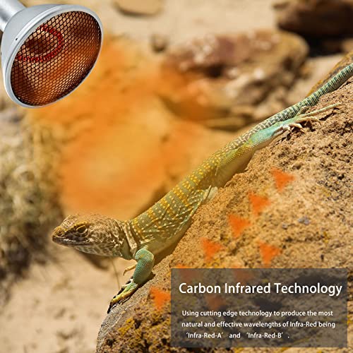 ExoRepti Deep Heat Projector Reptile Heat Lamp Bulb (DHP 75W, PAR30), Basking Light for Bearded Dragon & Leopard Gecko, Carbon Infrared Heater for Amphibian Pet