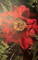 The Gardens of Winterthur in All Seasons B000UTHLF8 Book Cover