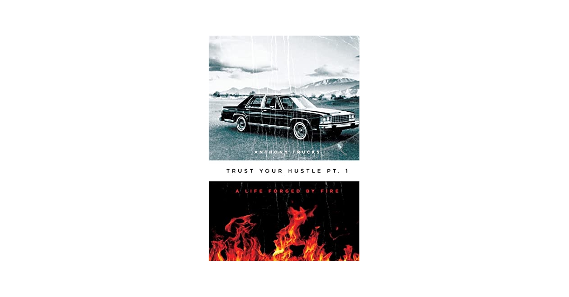 洋書 Trust the Text 洋書 Trust the Text Trust the Text : Language, Corpus and