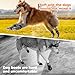 Anti-Slip Dog Socks Prevent Licking Paws,Dog Socks with Grippers for Senior Dogs Walk on Hardwood Floor,Dog Grippers with Strong Traction,Dog Essentials,Grey 2 Pairs,M