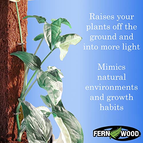 Fernwood Tree Fern Totem Board- For Orchids, Aroids, And Other Climbing Plants | Soft, Durable, Fibrous | Natural And Sustainable | 2 Pack | 19.7X2X2 #TOP4