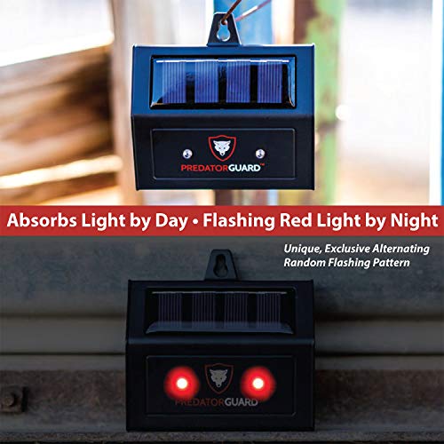 Solar Powered Predator Deterrent Light Scares Nocturnal Nuisance Animals Away - Nightime Deer Coyote Raccoon Wild Animal Repellent Device - Chicken Coop Accessories - Red Led Eyes #TOP1