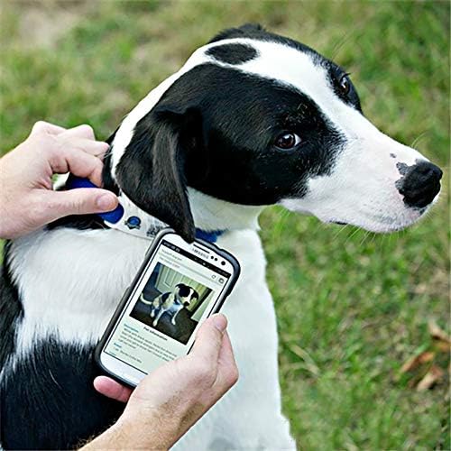 YSSHUI NTAG215 NFC Tag, Blank Paper RFID Sticker Tag,Compatible With All NFC-enabled cell phones & other devices, 504 Bytes Memory Fully Programmable (Pack of 20)