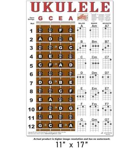 A New Song Music UKE-FRETCHORD Ukulele Fretboard Notes & Chord Chart Instructional Poster Gcea Tuning Easy Uke Chords Soprano Concert Tenor A New Song Music 11 Inchx17 Inch thumb #3