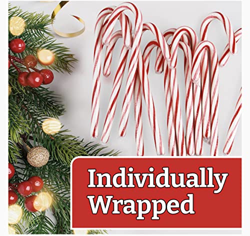 Brach’s Peppermint Candy Cane 3 Packs .Bonus Express Minds Llc Fun Sticker #TOP24