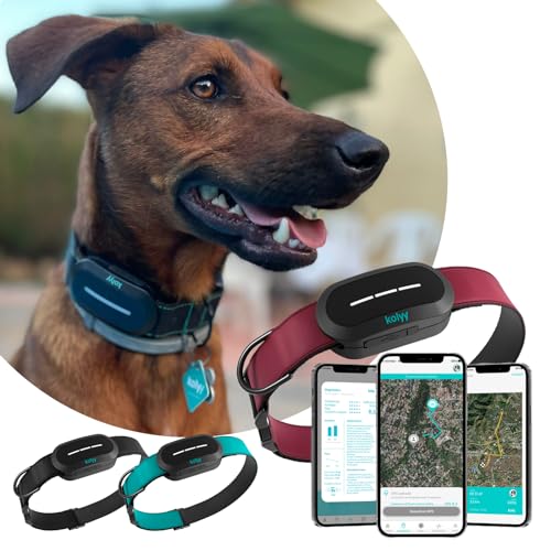 Los mejores GPS para perros, ¿cómo elegir el mejor según su tamaño