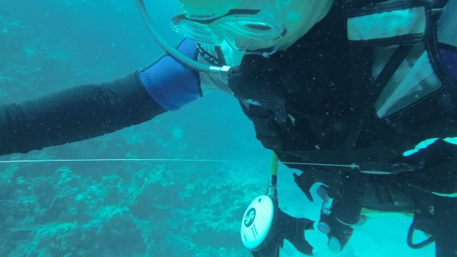 Keenso Bastone Subacqueo In Alluminio - 4 Colori Grigio/Blu/Nero/Rosa Con Cordino E Scala 15cm Per Immersioni - Foto 7