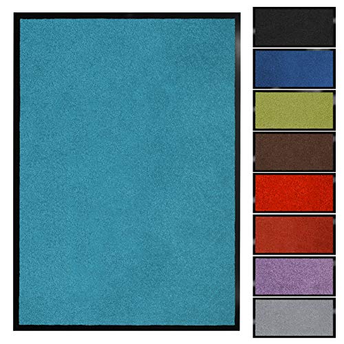 Floordirekt Schmutzfangmatte Monochrom | Fussmatte in 10 Größen & 8 Farben | Türmatte für innen & außen (60 x 180 cm, Türkis)