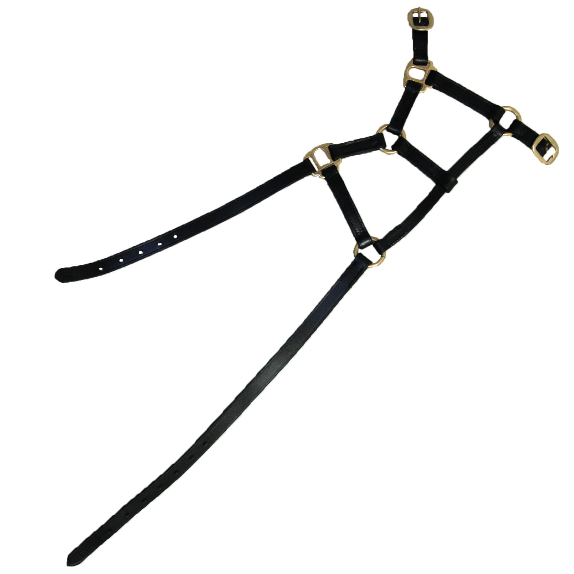 Hy Leather Foal Head Collar(Black, Large)