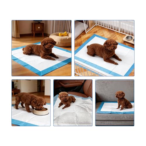 6 Layers Dog and Puppy Pee Pads, Super Absorbent Leak-Proof Puppy Pads, Dog Training Pads 40 Count 23\"x 23\", Quick Dry Surface, Perfect for Puppies & Senior Dogs