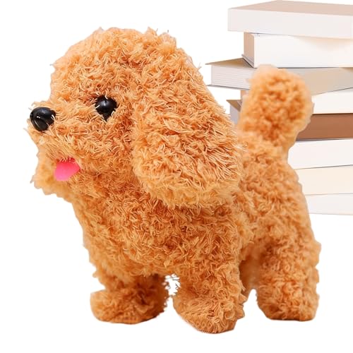 dʂݎqiKU胂[VAȃ\tgʂ݌efBxAETMLC^NeBuvCFlG^[eCgqɗDybgvJ |z[vC[pBirthda