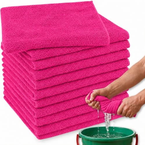 Bayetas de Microfibra, Paño de Microfibra, Paños de Limpieza Multiusos, Apto para Coche, Cristales, Cocina y Baño, no deja marcas ni rayas, Doble cara, 30x40 cm, Contiene 12 unidades en color Fucsia