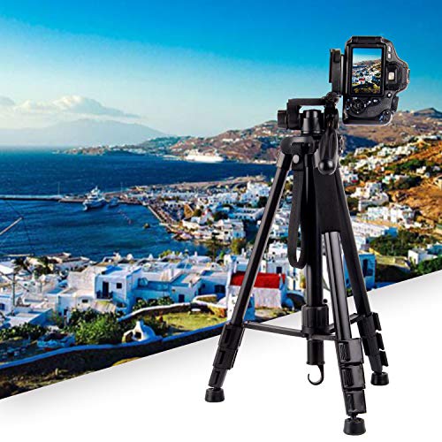 Regetek Camera Tripod Travel Monopod(65" Aluminum Professional Video Camera Mount Leg) Adjustable Stand with Flexible Head for Canon Nikon DV DSLR Camcorder Gopro cam& Carry Bag