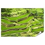 islandburner XXL Bild Poster Reisterrassen Landschaft Asien Felder Natur Grünanlage Premium Bilder Fotodruck
