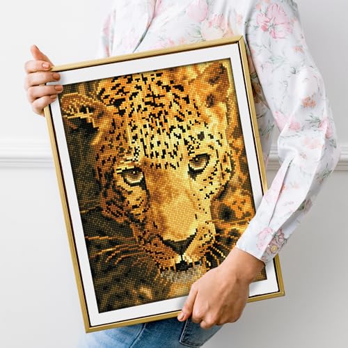 Dj E Iluminación, Office Product Imagen adicional