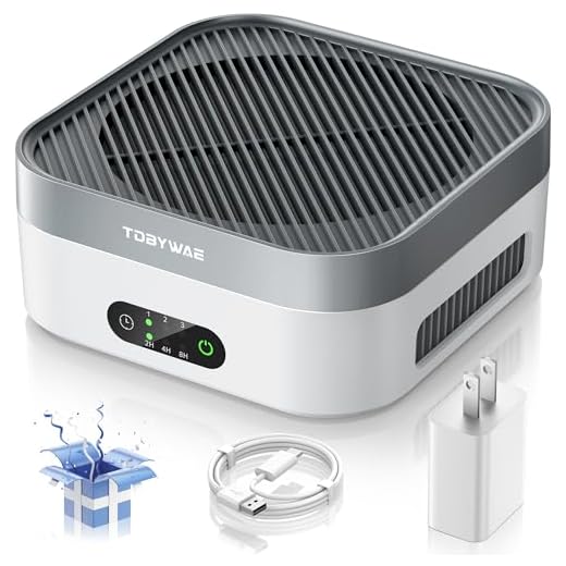 Portable HEPA Air Purifier for Smoke and Allergies