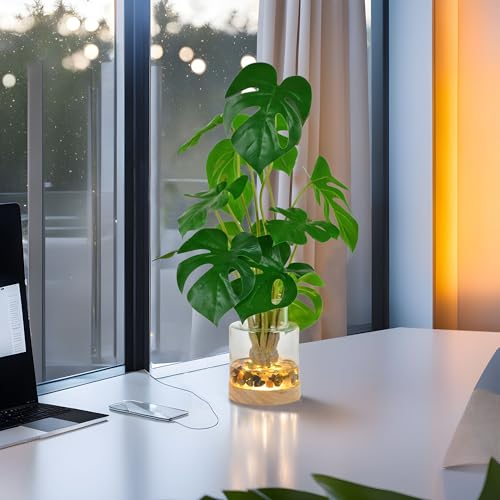 Westcharm Real Touch Artificial Green Monstera Tropical Split Leaf Plant in Glass Vase with Faux Water, River Stones, and Wood LED Display Base for Christmas, Home Decor, Housewarming